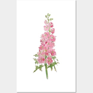 pink larkspur flowers watercolor and ink Posters and Art